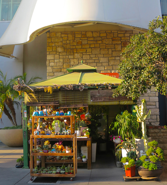 Outdoor market with umbrella